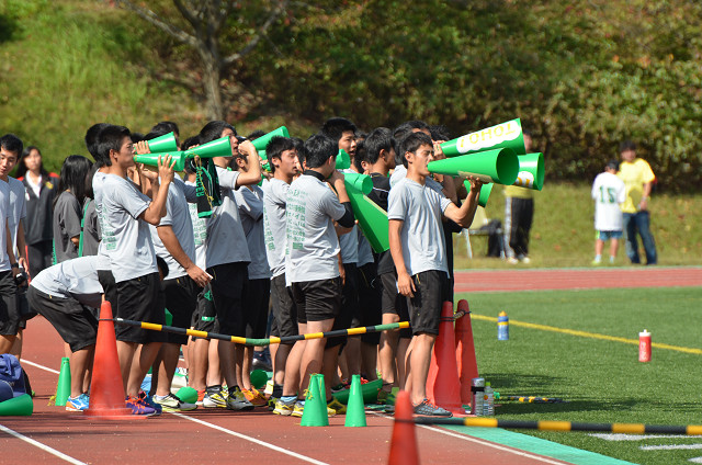 20151017A1_05.jpg